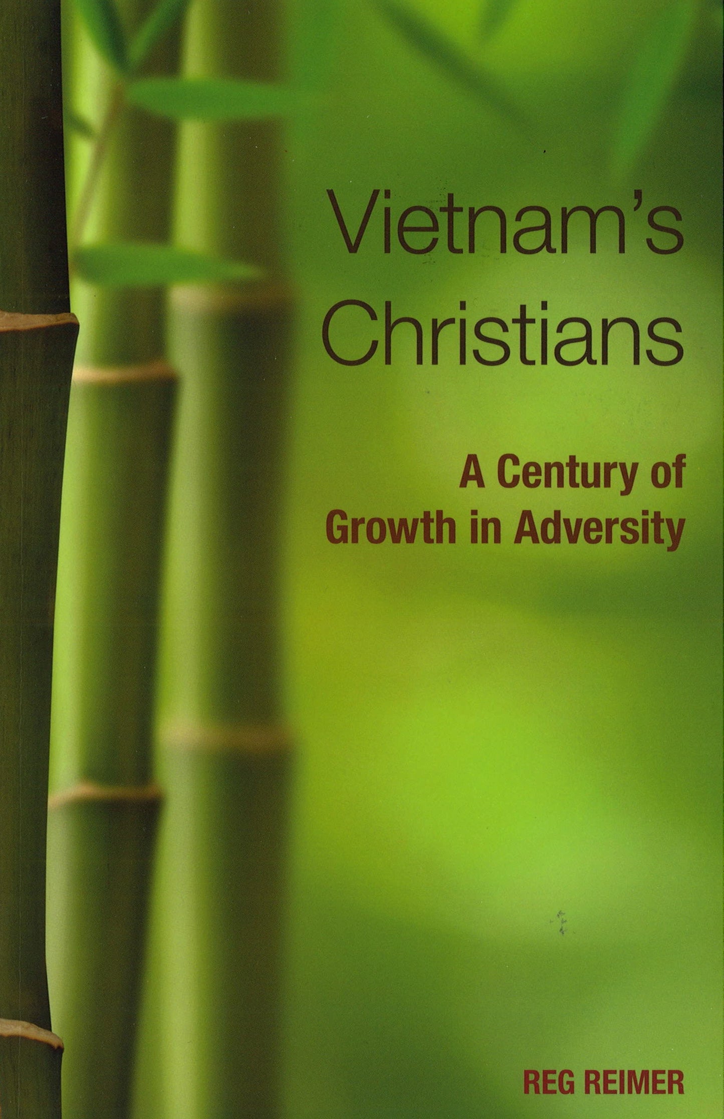 Vietnam's Christians